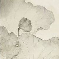 2022走运的紫微命格 紫薇命盘看命运