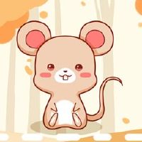 How is the mouse in May how to find a financial road in 2022