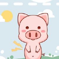 1971年,幸运的财富是猪人2022。