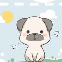 1982年出生的狗2022财富是2022年的狗