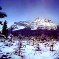 什么是2019年8月29日出生的五排的男孩