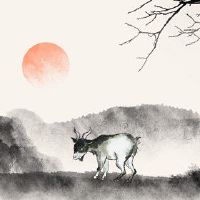 绵羊女人2022年7月财富全版财富