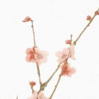 女人耳朵小而厚实 正财不如偏财旺