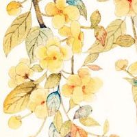 土象星座和什么象合适 与巨蟹座金牛座配对好吗