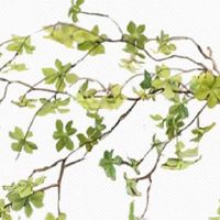 10个斗纹的说法命运 男人一生不愁金钱