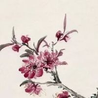 十簸箕男和十斗女结婚 最佳婚配组合