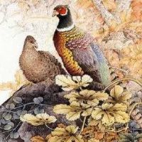 手机尾号8686好不好 最强数理吉祥手机号