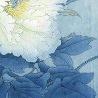 手机号码数字分析 手机号码尾数是3是大忌