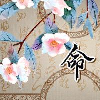 大海的含义不适合穿八卦镜子