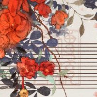 王福,王子,家庭,越来越多的黄道带