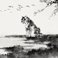 什么样的十二生肖超过了jiji 2022