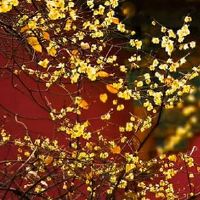 属鸡者2022年5月适合买房吗 催旺运势楼层尾数为2