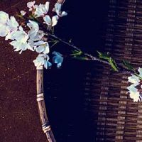 2022年8月26日五行穿衣旺运势的幸运色查询