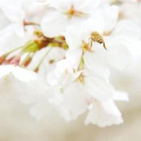 治疗情感专业,了解2个大型出生的合作伙伴!