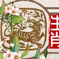 1998年是一个适合穿金的人?