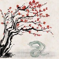 属蛇有哪些月份一生事业最好 名利双收生财有门