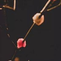 五行穿衣|2022年8月28日教你穿出好运来