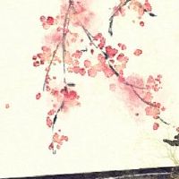 哪个是最美丽的如何区分八个字符的桃子?