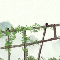 甲申日配偶有能力 配偶能干识大体