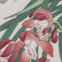 风水是会具体化一切能量 有能量旺运势手机号