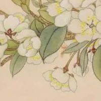 手机号码什么尾数好 有好运旺人缘数组