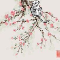 在2023年,一只猴子,猴子,3月,3月