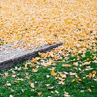 是2022年7月第15个月的前十天的这一天吗?