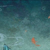 乙木女为什么要瘦才好 有利于发展自身事业