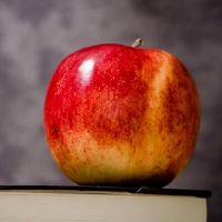 杀死狼十二个星座(4.18-4.24)