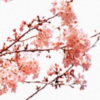 特吉生肖运势解读:2022年9月13日十二生肖幸运指数