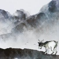 2022年,羊的桃子,可以有人能采取王涛华