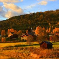 2019年猪年,小雪,男孩,如何获得名字