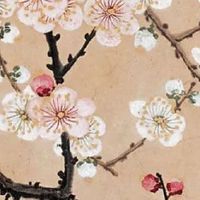 98年虎和2001蛇婚配好不 性格差异大需磨合