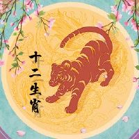 1974年,老虎就是生命所在的。