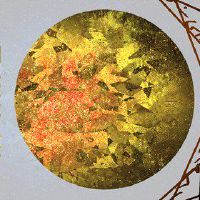 MERURK DAY,12个星座日常财富0419