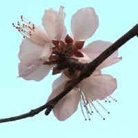 2022年7月6日开工好不好 农历六月初七是复工好日子吗