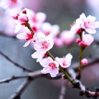 2022年7月3日是开工好日子吗 农历六月初四是不是吉日