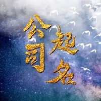 公司名称包含超装