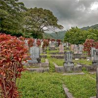 适用于2022年4月19日的修理坟墓吗?