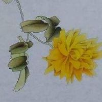 尾号33333手机号寓意 旺运势吉利数理号码