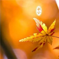 秋天:2019年9月23日