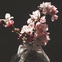 2022年7月23日提车好吗 农历六月二十四是上牌日子吗