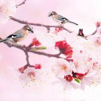 2022年7月12日开工好不好 农历六月十三是复工好日子吗