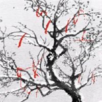 2022年5月18日出生的孩子是什么?性格是热情的