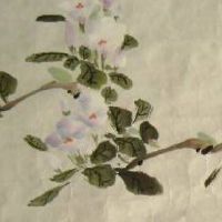 手机号码哪个数字好 卦象吉祥有福气数组