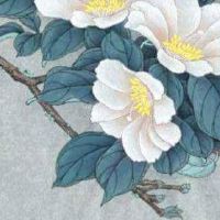 手机号怎么选号最好 手机号尾号00的说法