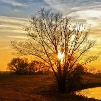 2019年,小山的太阳能术数几个月。萧汉如何出生?