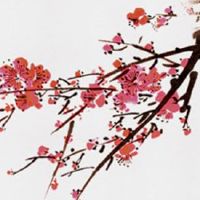 女人手相纹路很多杂纹好不好 手掌纹乱化解方法