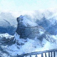 什么是最好的祖母绿品种是美丽的,值得保存