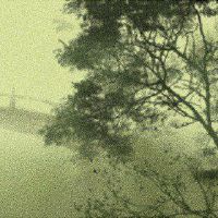 什么样的玉手镯最好看绿色,甚至是